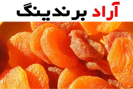 بهترین قیمت آلو بخارا مشهدی اصل