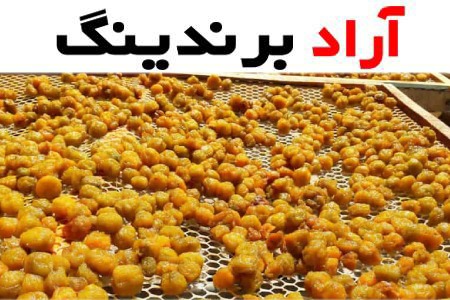 قیمت آلو بخارا نیشابور