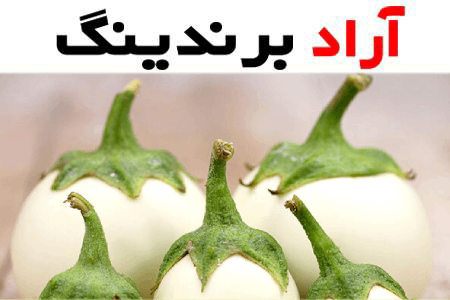 خرید بادمجان سفید زینتی + قیمت عالی