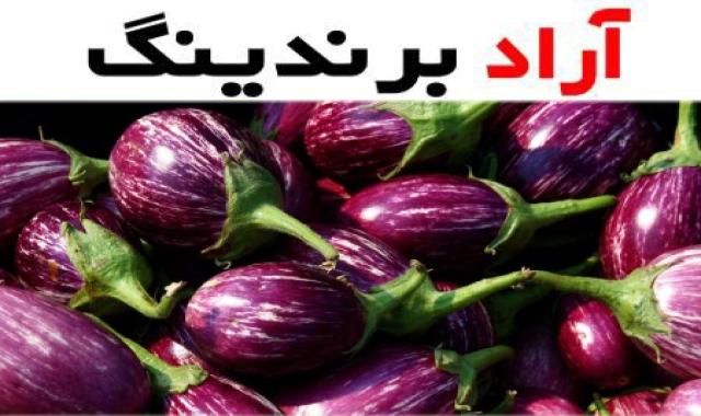 بادمجان لامپی چیست؟ قیمت خرید