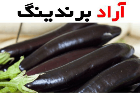 قیمت خرید بادمجان قلمی سیاه + عکس