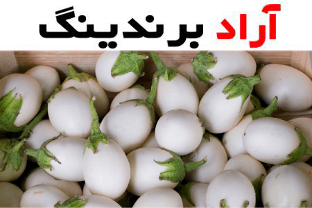 خرید بادمجان سفید گلخانه ای + قیمت عالی