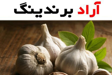 خرید بهترین انواع سیر تازه با قیمت ارزان