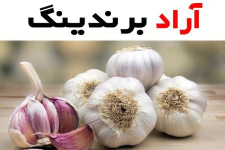 خرید بهترین انواع سیر خام با قیمت ارزان