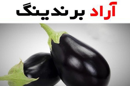 خرید و قیمت انواع بادمجان دلمه ای ارگانیک