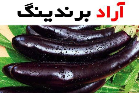 خرید انواع بادمجان قلمی با بهترین قیمت