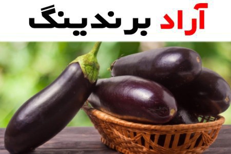 بادمجان در میدان بار مشهد؛ دلمه ای تانگو معمولی 2 رنگ بنفش سفید