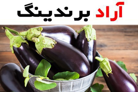 خرید بادمجان قلمی ورامین + قیمت عالی با کیفیت تضمینی