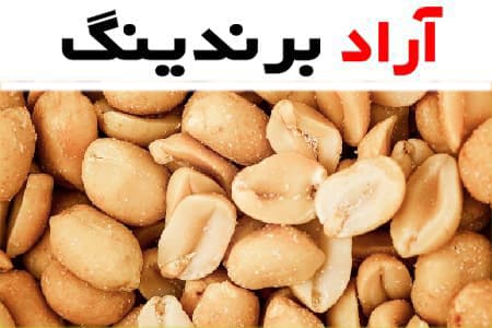 بادام زمینی خام برای لاغری؛ خوش طعم مقوی دارای مواد معدنی