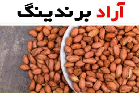 خرید بادام زمینی برشته + قیمت عالی با کیفیت تضمینی