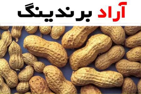 بادام زمینی بسته بندی؛ خام روکش دار 1000 گرمی عمده
