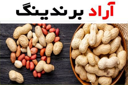 قیمت بادام زمینی ریز