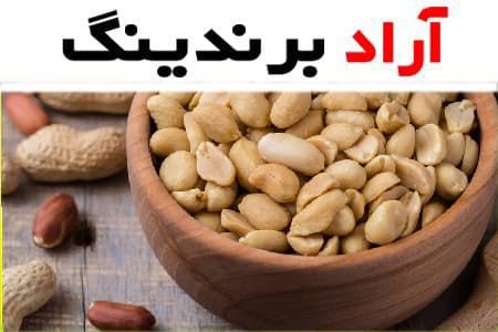 خرید بادام زمینی به صورت عمده از تولیدکننده