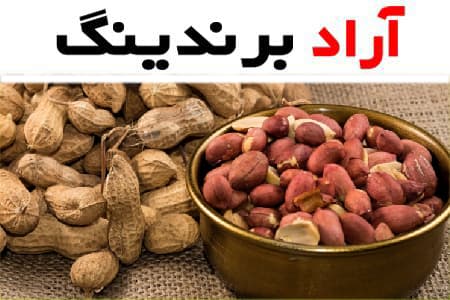 خرید بادام زمینی روکش دار هالوپینو با قیمت استثنایی
