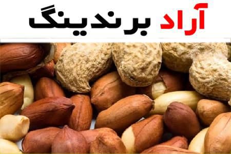 بادام زمینی پوست کنده؛ طعم عالی حاوی ویتامین E مناسب درمان پوکی استخوان
