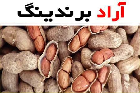 بادام زمینی پوست کاغذی؛ بافت نرم نازک 3 نوع نمکی سرکه ای فلفلی خوشمزه Paper
