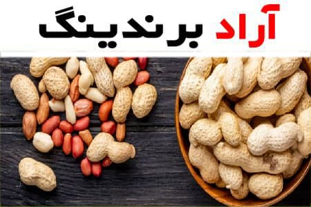 مغز بادام زمینی مزمز؛ خوشمزه 3 نوع فلفلی نمکی سرکه ای مناسب کودکان بزرگسالان 