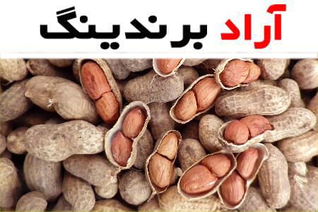 بادام زمینی طعم دار مزمز؛ تنقلات روکشی (فلفلی سرکه ای پنیری) فسفر Biotin