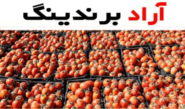گوجه فرنگی ورامین؛ صیفی جات چاشنی آنتی اکسیدان سلامت قلب tomato