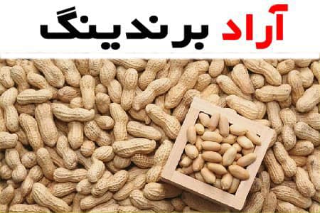 بادام زمینی ارزان؛ بوداده خام روکش دار بسته بندی 500 گرمی peanut