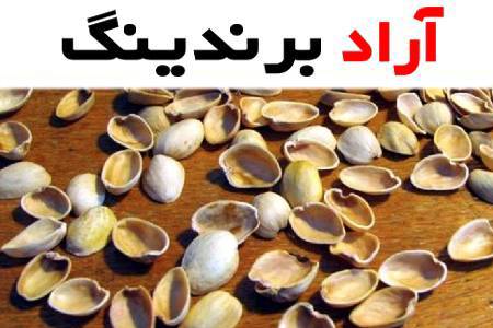 پوست پسته استخوانی یک طعم تازه و متفاوت در دنیای خشکبار