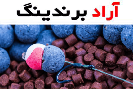 خوراک آبزیان لجور؛ افزایش رشد ماهی کاهش مواد دفعی