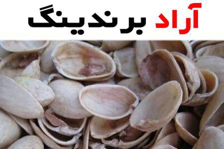 دانستنی های پوست پسته تهران که باید بدانید