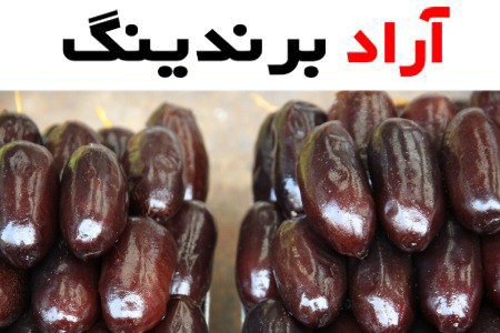 قیمت خرما مضافتی + خرید و فروش خرما مضافتی عمده