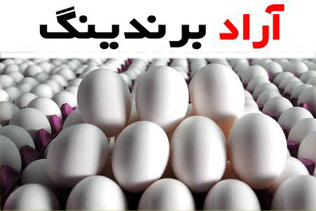 خرید بهترین انواع تخم مرغ با قیمت عالی