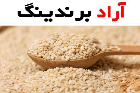 معرفی انواع کنجد پوست کنده + قیمت خرید روز