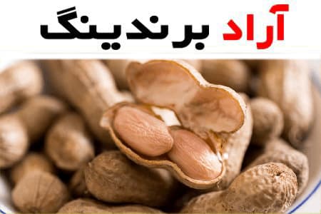 قیمت بادام زمینی عمده