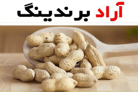 قیمت بادام زمینی فله