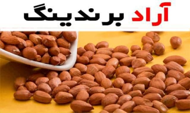 بادام زمینی ایوب؛ خام طعم دار ارگانیک تازه تقویت سیستم ایمنی