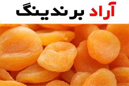 بهترین قیمت خرید میوه خشک زردآلو