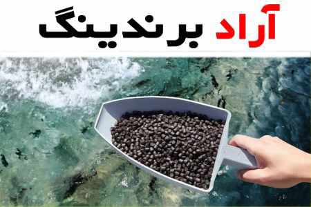 خوراک آبزیان حاتمی؛ ماهی میگو حاوی مواد معدنی امگا3