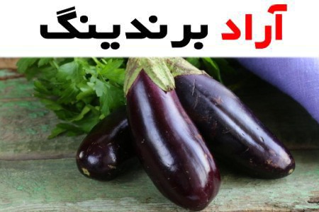 بهترین قیمت خرید بادمجان گلخانه ای جیرفت