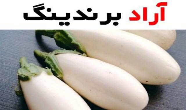 خرید و قیمت روز بادمجان دلمه ای سفید
