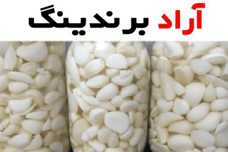 ترشی سیر حبه ای | قیمت خرید عمده و فله