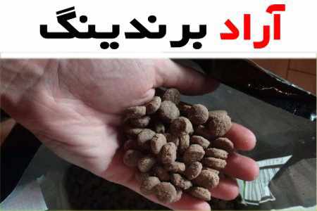 غذای ماهی گوپی؛ رطوبت 99% ماندگاری 15 روز