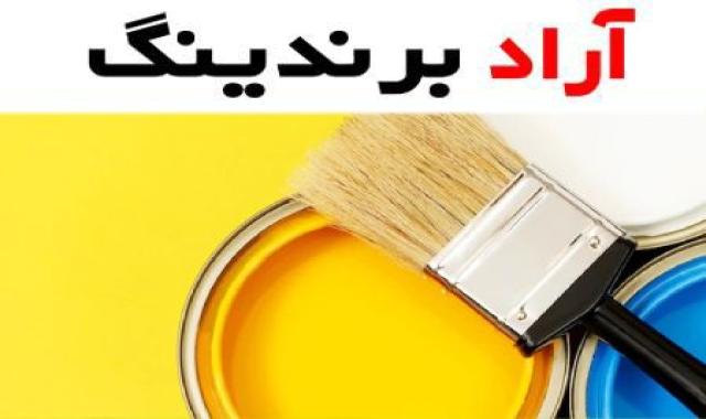 رنگ ساختمانی نیمه پلاستیک مقاوم در برابر خراشیدگی پوسیدگی و ضربه‌ها