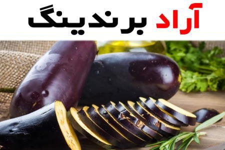 خرید انواع بادمجان دلمه ای با بهترین قیمت