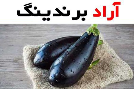 قیمت بادمجان شمال + بهترین قیمت خرید روز بادمجان شمال با جدیدترین