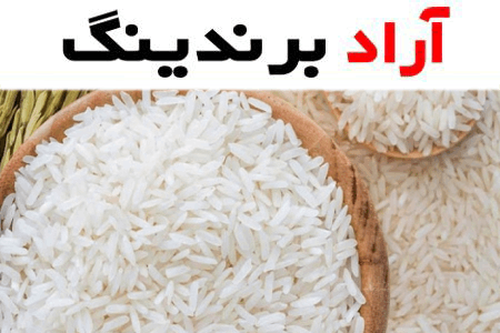 قیمت خرید برنج شیرودی درجه یک شمال در ساری قائمشهر بابل آمل