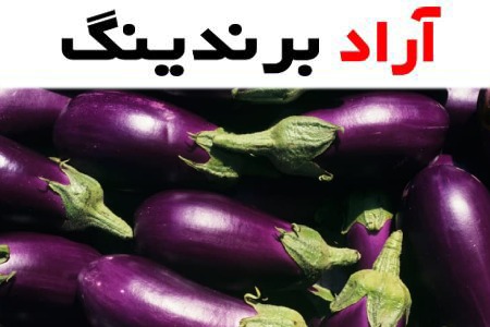 بادمجان امروز در مشهد؛ ریز درشت 3 رنگ سفید بنفش سیاه