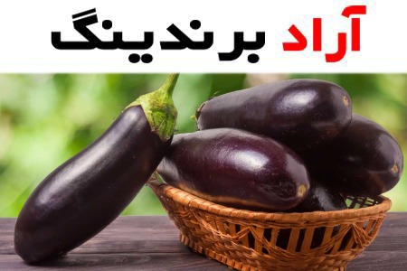 خرید انواع بادمجان خام با بهترین قیمت