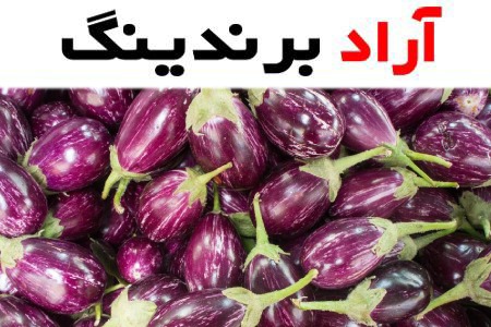بادمجان | قیمت و خرید انواع بادمجان …