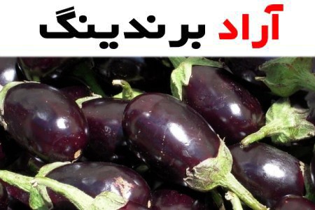 فواید و مضرات بادمجان سیاه