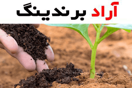 بهترین قیمت خرید کود ارگانیک برای برنج