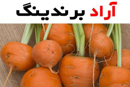 قیمت هویج گرد محلی + پخش تولیدی عمده کارخانه