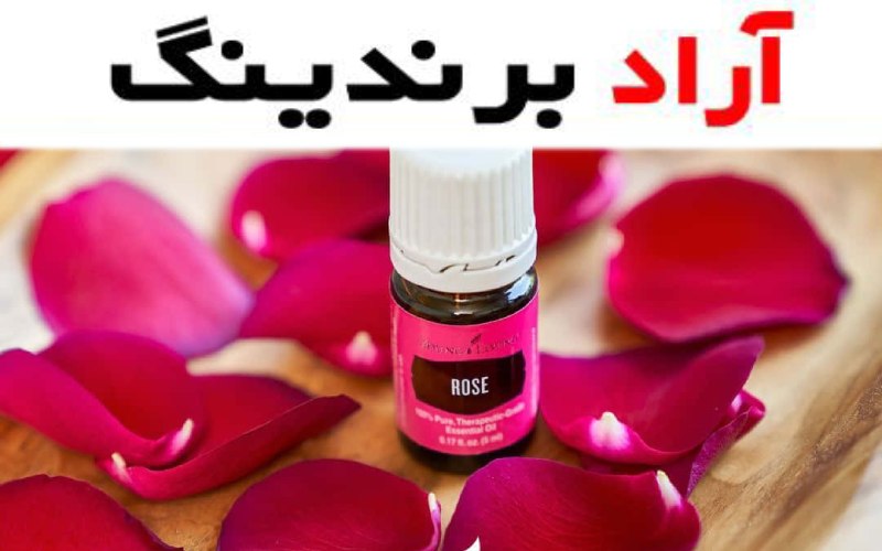 اثرات مثبت روغن ماساژ گل سرخ در بهبود عملکرد عضلات بهبود وضعیت پوست و بهبود روحیه